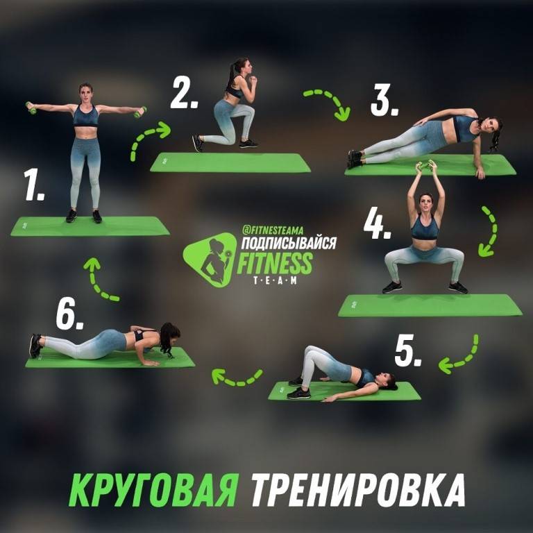 Примеры круговых тренировок в тренажерном зале для женщин и мужчин