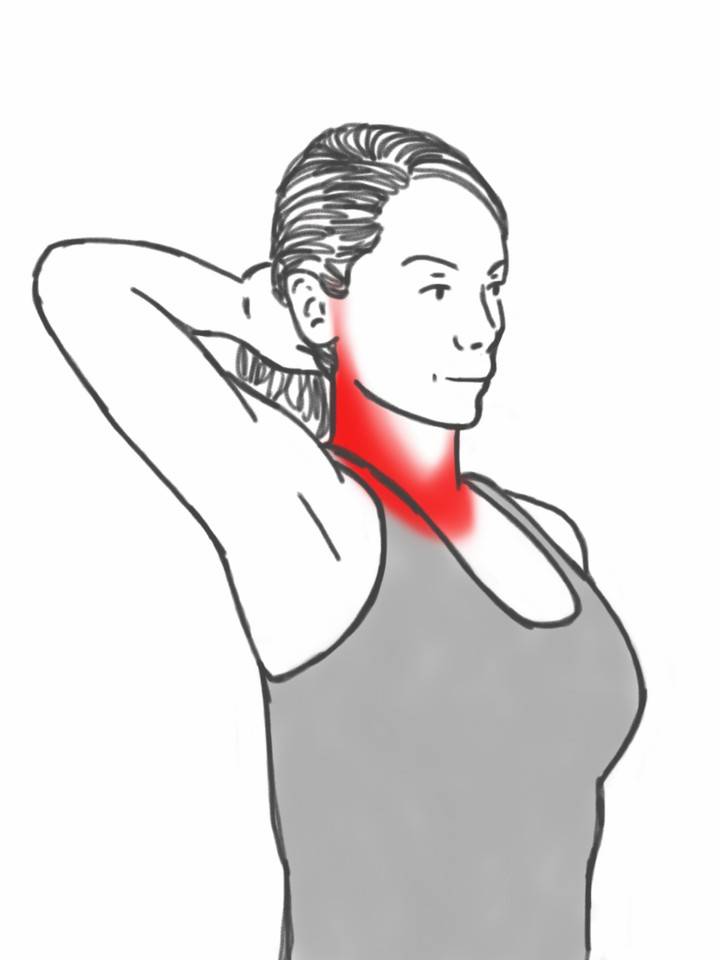 Растяжка шеи: комплекс упражнений в домашних условиях