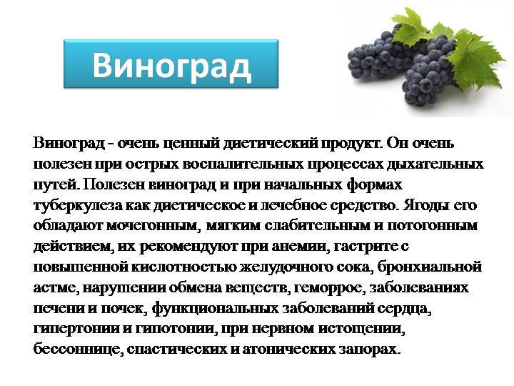 Виноград чёрный: польза и вред для организма человека, калорийность и состав