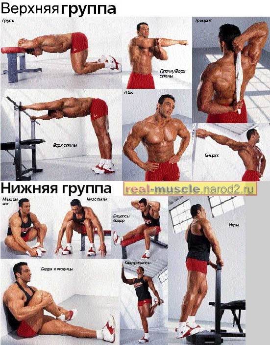 Программа тренировок в тренажерном зале для мужчин: как правильно тренироваться + комплекс упражнений на неделю