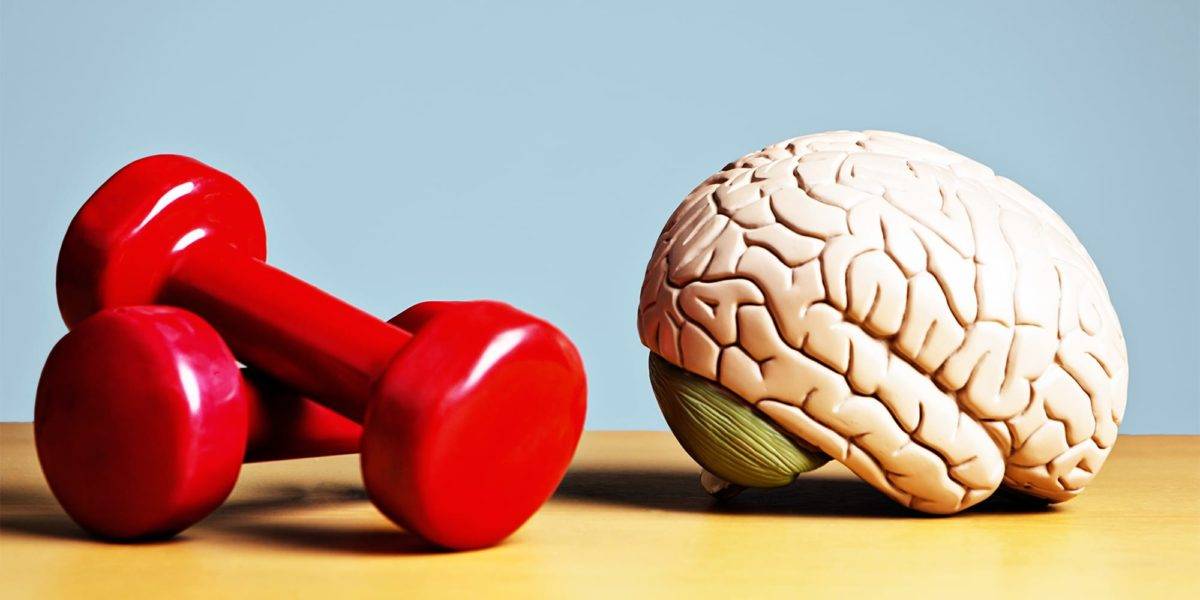 Тренировки перестраивают мозг, повышая устойчивость к стрессу