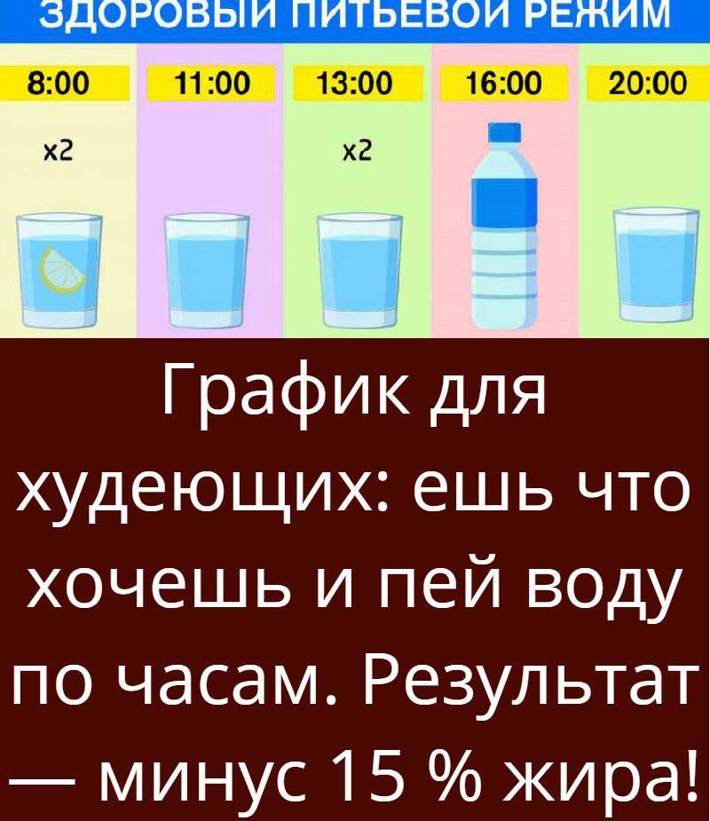 Вода по часам для похудения