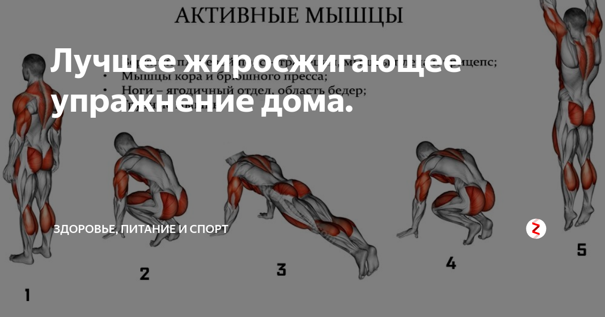 12 лучших упражнений для развития мышц кора