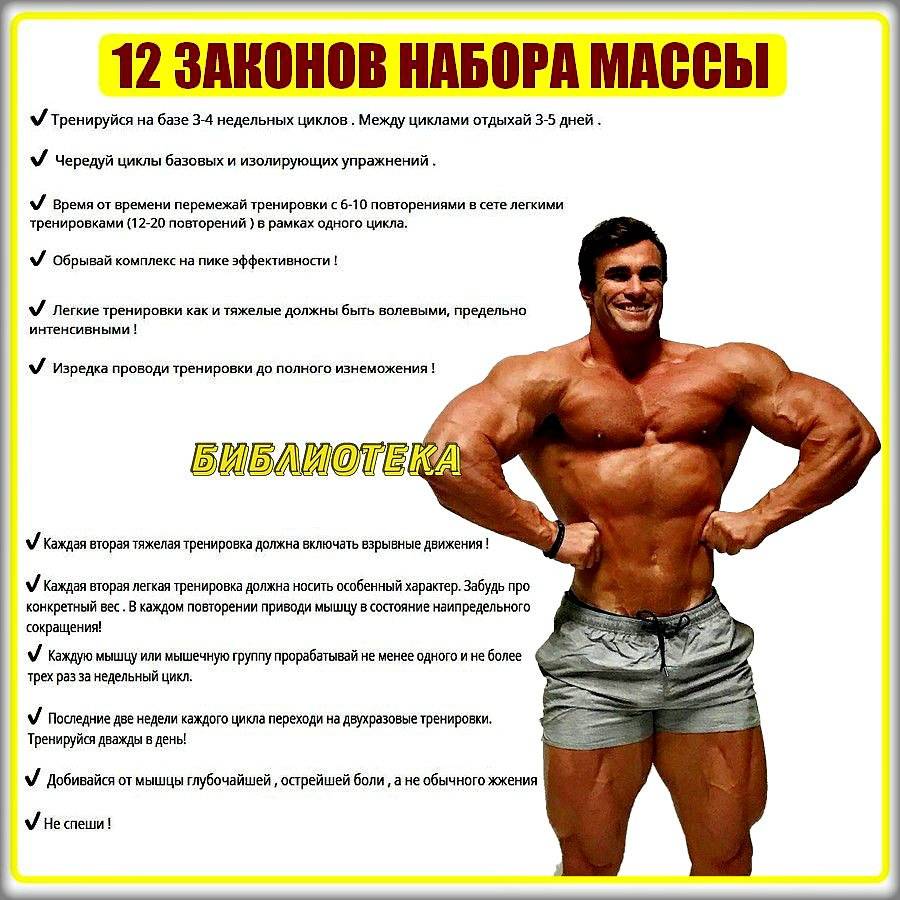 Как увеличить мышечную выносливость | brodude.ru