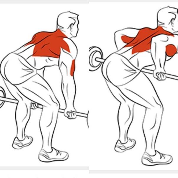 Как накачать широкую спину