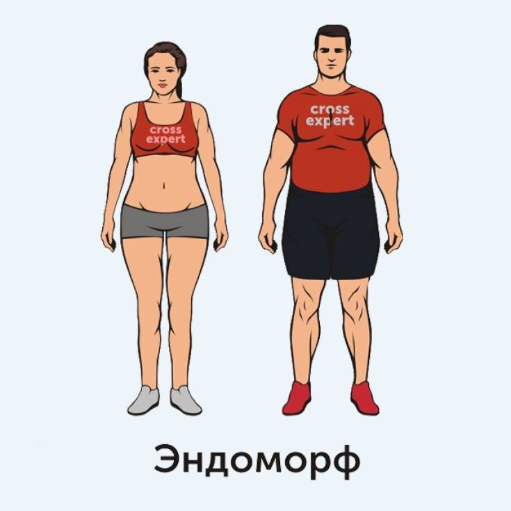 Программа тренировок для эктоморфа: комплекс упражнений и питание