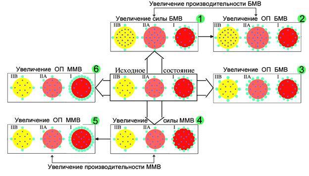 Типы мышечных волокон
типы мышечных волокон