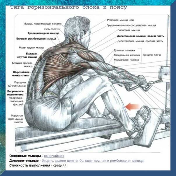 Все о тяге горизонтального блока: что это такое, зачем она нужна и как правильно выполнять + разбор ошибок от профи