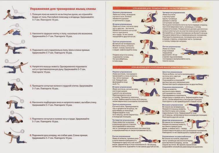 Тренируем шею правильно: упражнения для шеи и рекомендации