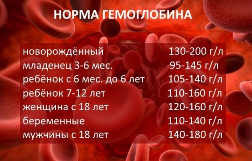 Гемоглобин в крови. какие продукты повышают гемоглобин