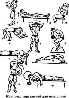 Легко! накачать мышцы шеи в домашних условиях: упражнения. — power-fit