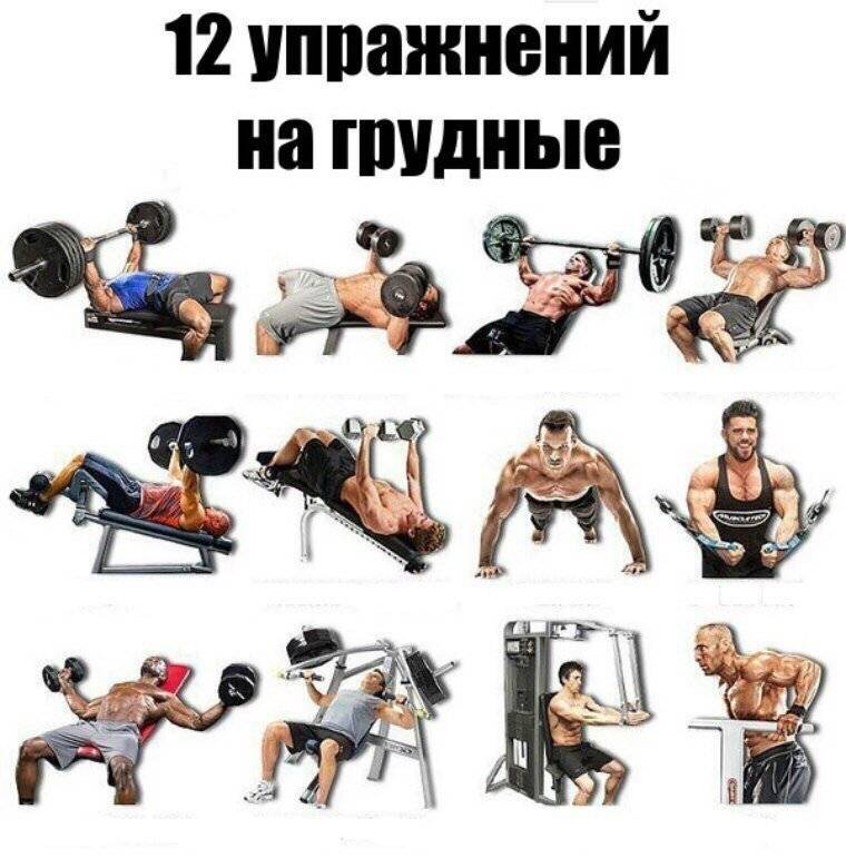 Упражнения на грудные мышцы для мужчин. домашние упражнения для грудных мышц - kak-nakachat.pro