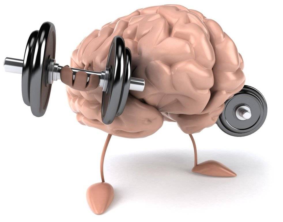 Как правильно качать мышцы: почему по разному чувствуется нейромышечная связь мозг-мышца, как тренировать и развить ее?