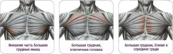 Как накачать внутреннюю часть грудных мышц в домашних условиях: упражнения для середины грудины