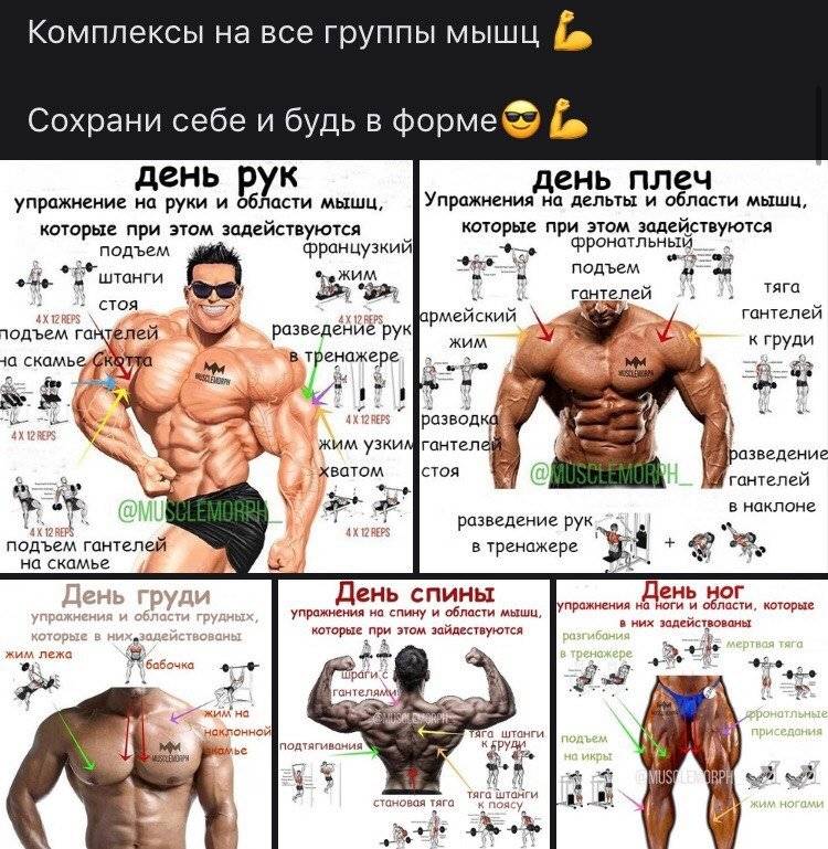 Тренировка плеч и спины: правила проведения занятия, техника выполнения, виды упражнений - tony.ru