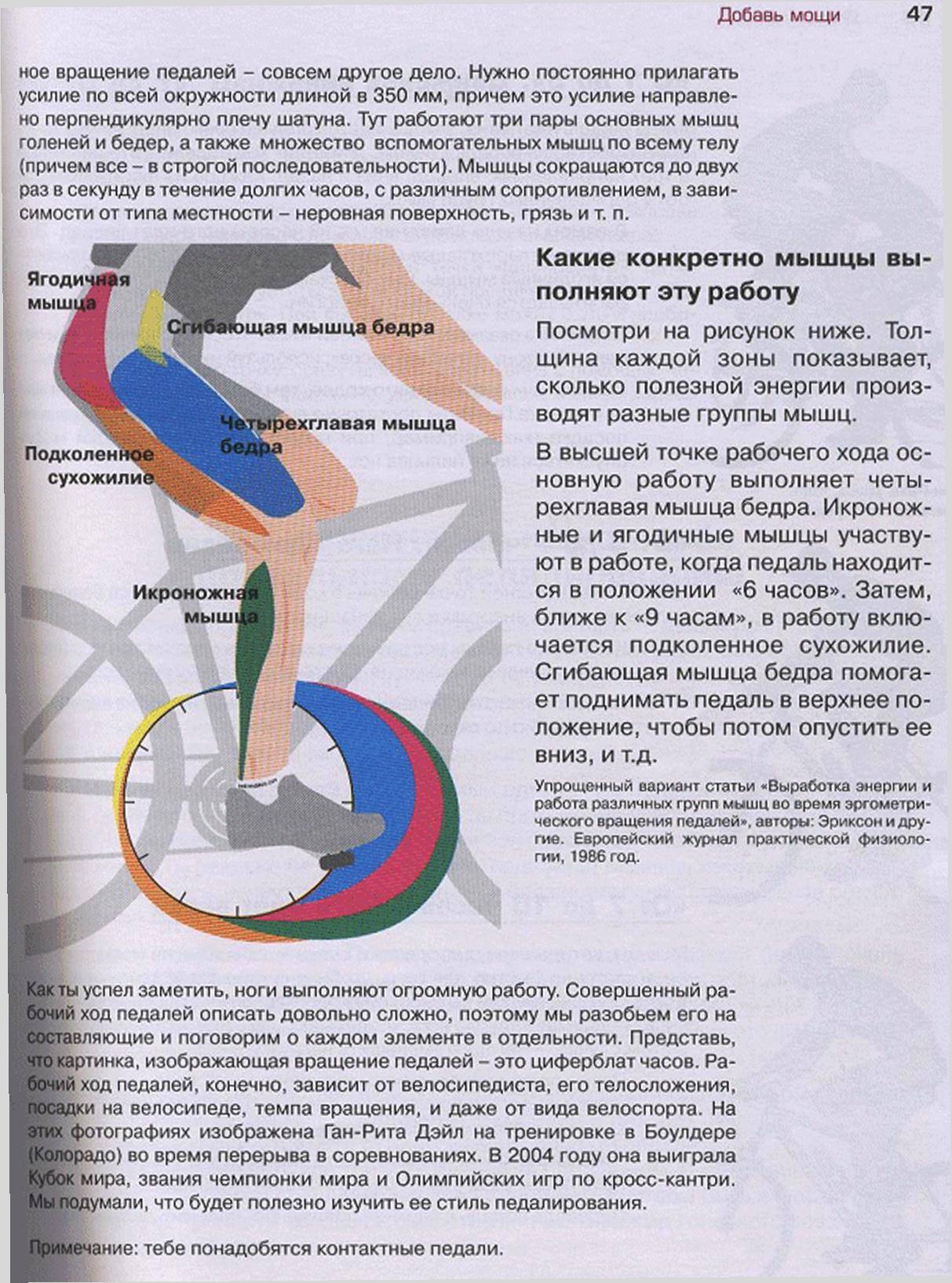 Как правильно ездить на велосипеде, чтобы похудеть? | pokatushkin.ru