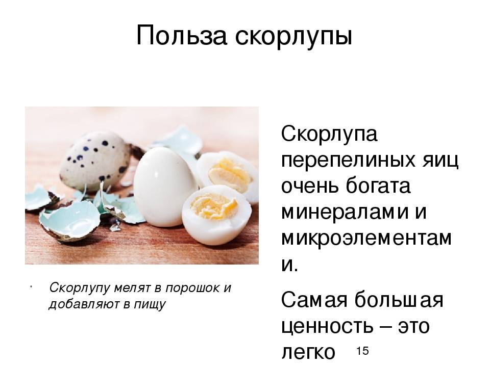 Перепелиные яйца - польза и вред, как принимать