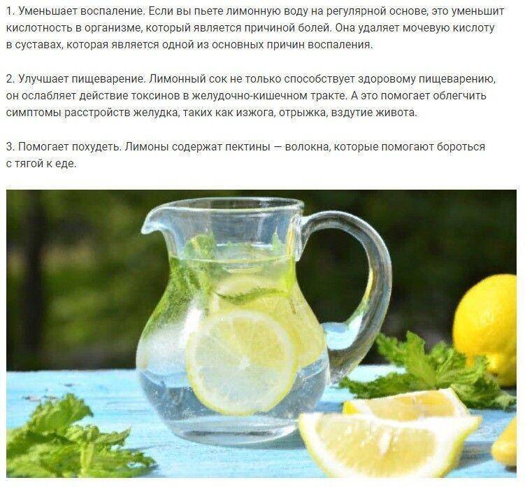 Вода с лимоном натощак: польза и вред 10 за и 7 против