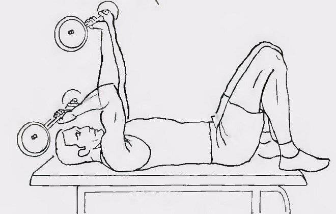 Французский жим с гантелями: техника выполнения французского жима гантелей лежа, сидя и стоя на трицепс