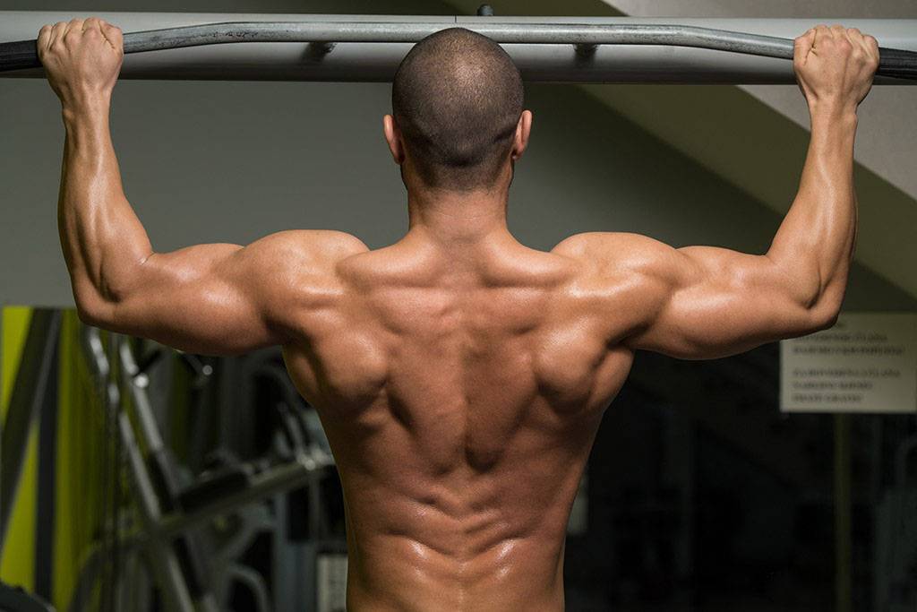 Как накачать мышцы трапеции — тренировка и упражнения | by best fit | medium