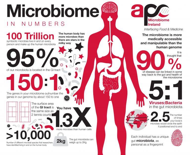 Мир внутри нас: 21 факт о микробиоме - beauty hub