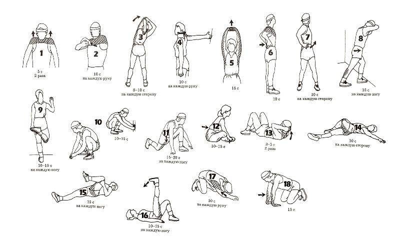 Разминка перед тренировкой в тренажерном зале: упражнения для разминки мышц