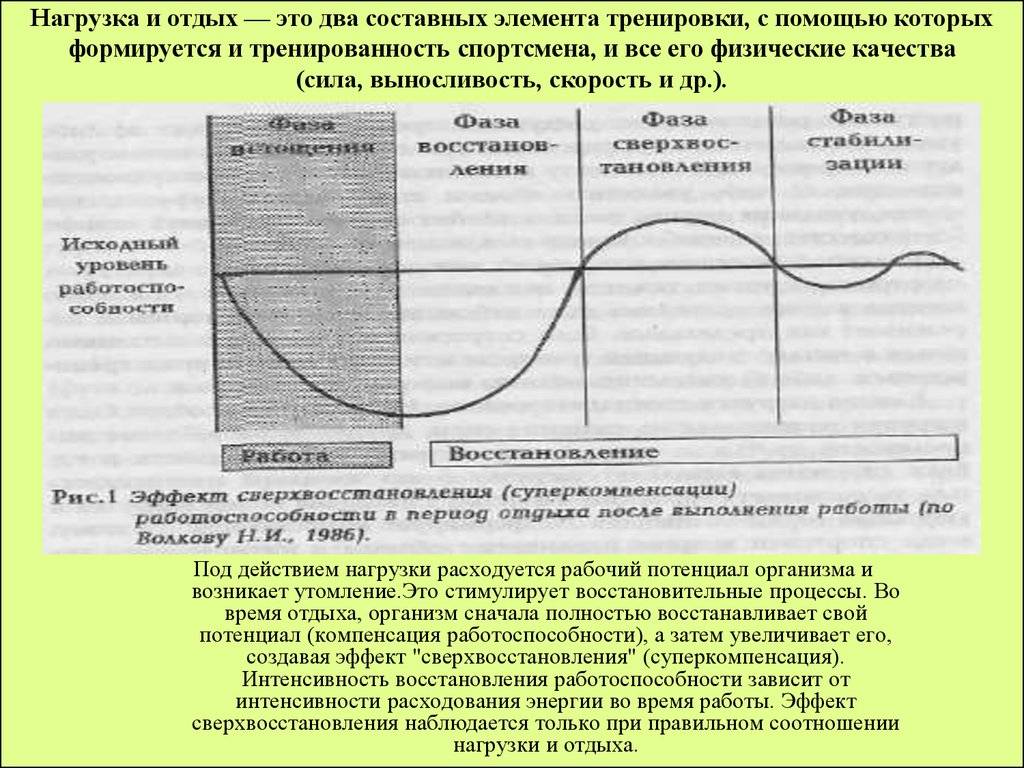 Нужны ли легкие тренировки в бодибилдинге, периодизация нагрузок