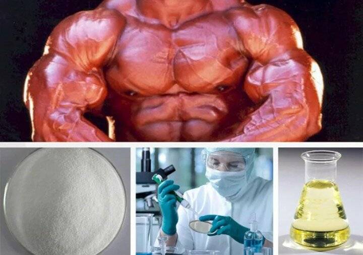 Вред стероидов и анаболиков:7 опасных синтетических анаболиков